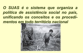 O SUAS é o sistema que organiza a
política de assistência social no país,
unificando os conceitos e os procedi-
mentos em todo território nacional
 