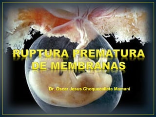 Dr. Oscar Jesus Choquecallata Mamani
 