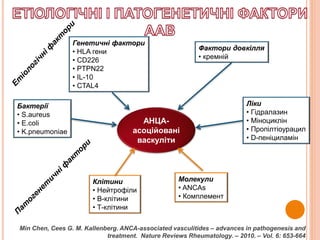 Генетичні фактори
• HLA гени
• CD226
• PTPN22
• IL-10
• CTAL4
Бактерії
• S.aureus
• E.coli
• K.pneumoniae
Фактори довкілля
• кремній
Ліки
• Гідралазин
• Міноциклін
• Пропілтіоурацил
• D-пеніциламін
Клітини
• Нейтрофіли
• В-клітини
• Т-клітини
Молекули
• ANCAs
• Комплемент
АНЦА-
асоційовані
васкуліти
Min Chen, Cees G. M. Kallenberg. ANCA-associated vasculitides – advances in pathogenesis and
treatment. Nature Reviews Rheumatology. – 2010. – Vol. 6: 653-664
 