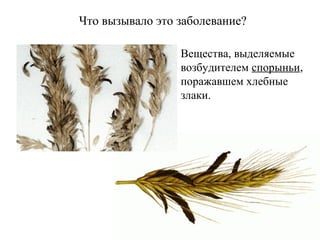 Что вызывало это заболевание?
Вещества, выделяемые
возбудителем спорыньи,
поражавшем хлебные
злаки.
 