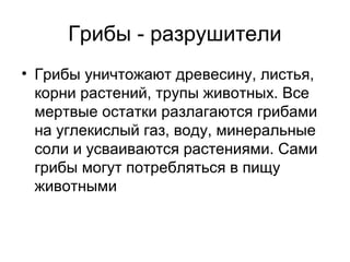 Грибы - разрушители
• Грибы уничтожают древесину, листья,
корни растений, трупы животных. Все
мертвые остатки разлагаются грибами
на углекислый газ, воду, минеральные
соли и усваиваются растениями. Сами
грибы могут потребляться в пищу
животными
 