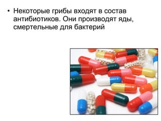 • Некоторые грибы входят в состав
антибиотиков. Они производят яды,
смертельные для бактерий
 