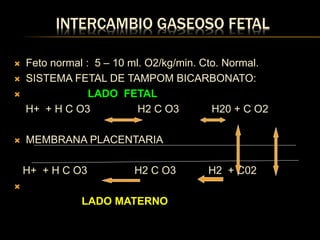 INTERCAMBIO GASEOSO FETAL
 Feto normal : 5 – 10 ml. O2/kg/min. Cto. Normal.
 SISTEMA FETAL DE TAMPOM BICARBONATO:
 LADO FETAL
H+ + H C O3 H2 C O3 H20 + C O2
 MEMBRANA PLACENTARIA
H+ + H C O3 H2 C O3 H2 + C02

LADO MATERNO
 