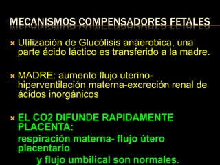 MECANISMOS COMPENSADORES FETALES
 Utilización de Glucólisis anáerobica, una
parte ácido láctico es transferido a la madre.
 MADRE: aumento flujo uterino-
hiperventilación materna-excreción renal de
ácidos inorgánicos
 EL CO2 DIFUNDE RAPIDAMENTE
PLACENTA:
respiración materna- flujo útero
placentario
y flujo umbilical son normales.
 