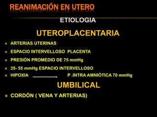 REANIMACIÓN EN UTERO
ETIOLOGIA
UTEROPLACENTARIA
 ARTERIAS UTERINAS
 ESPACIO INTERVELLOSO PLACENTA
 PRESIÓN PROMEDIO DE 75 mmHg
 35- 55 mmHg ESPACIO INTERVELLOSO
 HIPOXIA P .INTRA AMNIÓTICA 70 mmHg
UMBILICAL
 CORDÓN ( VENA Y ARTERIAS)
 