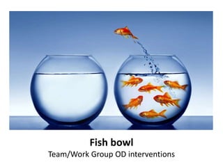Fish bowl
Team/Work Group OD interventions
 