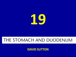 19
DAVID SUTTON
 