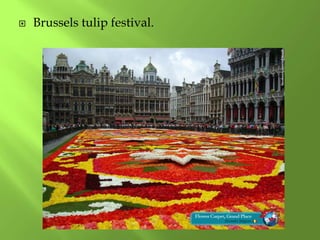  Brussels tulip festival.
 