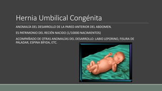 Hernia Umbilical Congénita
ANOMALÍA DEL DESARROLLO DE LA PARED ANTERIOR DEL ABDOMEN.
ES PATRIMONIO DEL RECIÉN NACIDO (1/10000 NACIMIENTOS)
ACOMPAÑADO DE OTRAS ANOMALÍAS DEL DESARROLLO: LABIO LEPORINO, FISURA DE
PALADAR, ESPINA BÍFIDA, ETC.
 