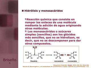 6
Briseño
Reacción química que consiste en
romper los enlaces de una molécula
mediante la adición de agua originando
otras moléculas.
Los monosacáridos o azúcares
simples (sencillos) son los glúcidos
más sencillos, que no se hidrolizan, es
decir, que no se descomponen para dar
otros compuestos.
Hidrólisis y monosacáridos
Bioquímica Ilustrada. Harper. 2010. Edit. Mc. Graw Hill.
Sección II. Bioenergética y el metabolismo de carbohidratos y lípidos. Capítulo 14. Carbohidratos: 113.
 