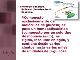 13
Briseño
Compuesto
exclusivamente de
moléculas de glucosa; es
pues un homopolisacárido
(compuesto por un solo tipo
de monosacárido); es
rígido, insoluble en agua, y
contiene desde varios
cientos hasta varios miles
de unidades de β-glucosa.
Homopolisacárido.
Polisacárido estructural.
Celulosa.
 