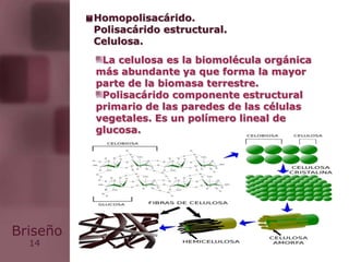 14
Briseño
La celulosa es la biomolécula orgánica
más abundante ya que forma la mayor
parte de la biomasa terrestre.
Polisacárido componente estructural
primario de las paredes de las células
vegetales. Es un polímero lineal de
glucosa.
Homopolisacárido.
Polisacárido estructural.
Celulosa.
 