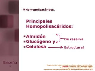 5
Briseño
Principales
Homopolisacáridos:
Almidón
Glucógeno y
Celulosa
Homopolisacáridos.
Bioquímica. Las bases moleculares de la estructura y función celular.
Lehninger. 2ª Edición. 1991. Ediciones Omega.
Parte 1. Componentes moleculares de las células.
Capítulo 10. Azúcares, polisacáridos de reserva y paredes celulares: 270.
De reserva
Estructural
 