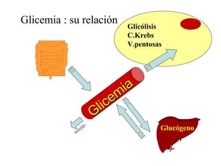 Glicem
ia
Glicem
ia
Glicólisis
C.Krebs
V.pentosas
Glucógeno
Glicemia : su relación
 