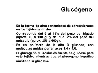 Glucógeno
• Es la forma de almacenamiento de carbohidratos
en los tejidos animales.
• Corresponde del 6 al 10% del peso del hígado
(aprox. 70 a 100 g) y del 1 al 2% del peso del
músculo (aprox. 250 a 400g).
• Es un polímero de la alfa D glucosa, con
moléculas unidas por enlaces 1,4 y 1,6.
• El glucógeno muscular es fuente de glucosa para
este tejido, mientras que el glucógeno hepático
mantiene la glicemia.
 
