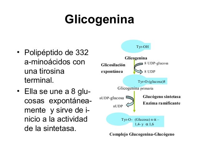 5 maneras de luchar dieta del metabolismo acelerado pdf