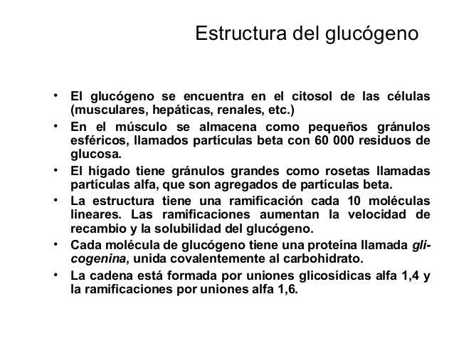 Por eso nunca va a metabolismo social