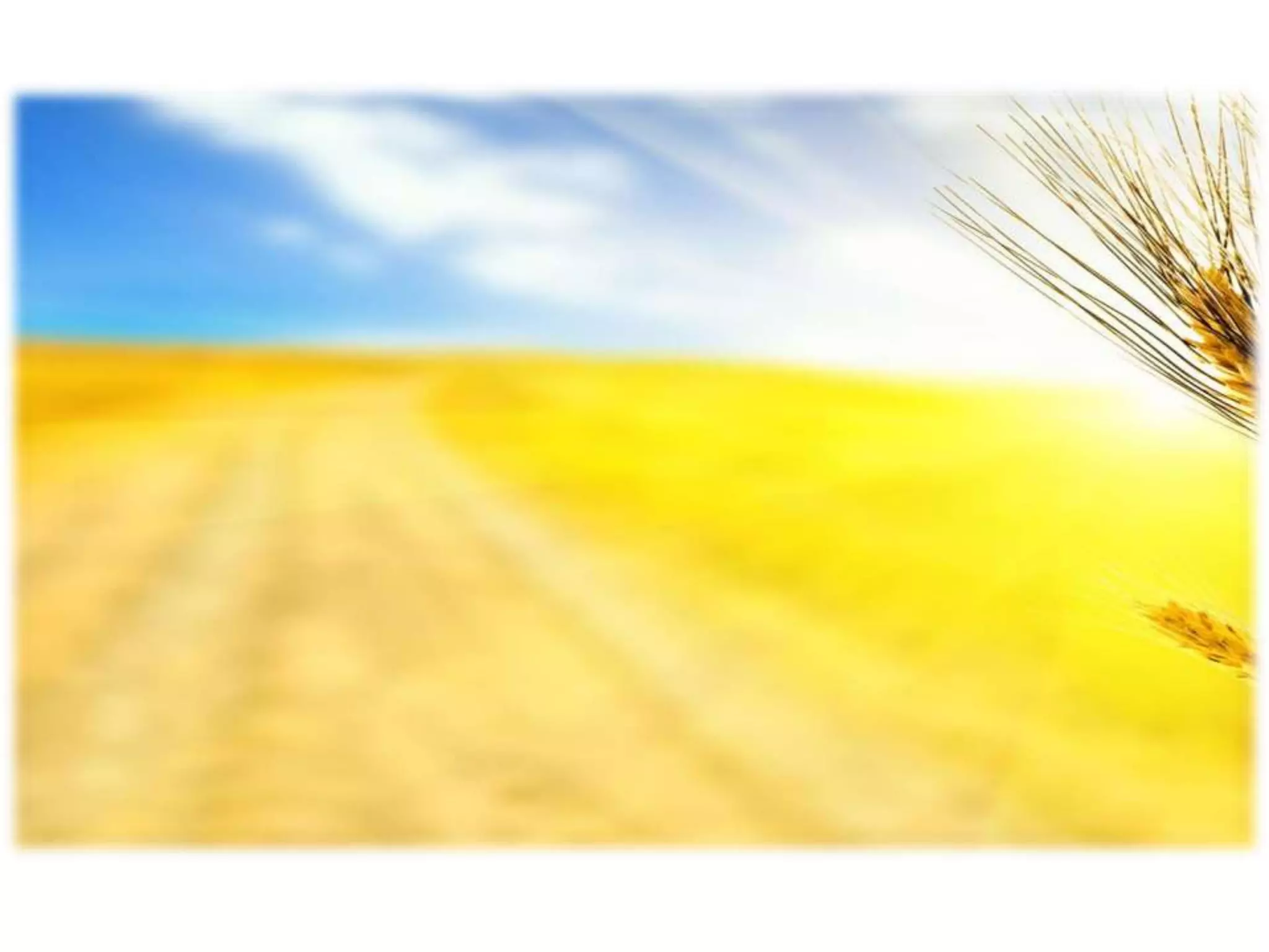 день соборності україни зош 19