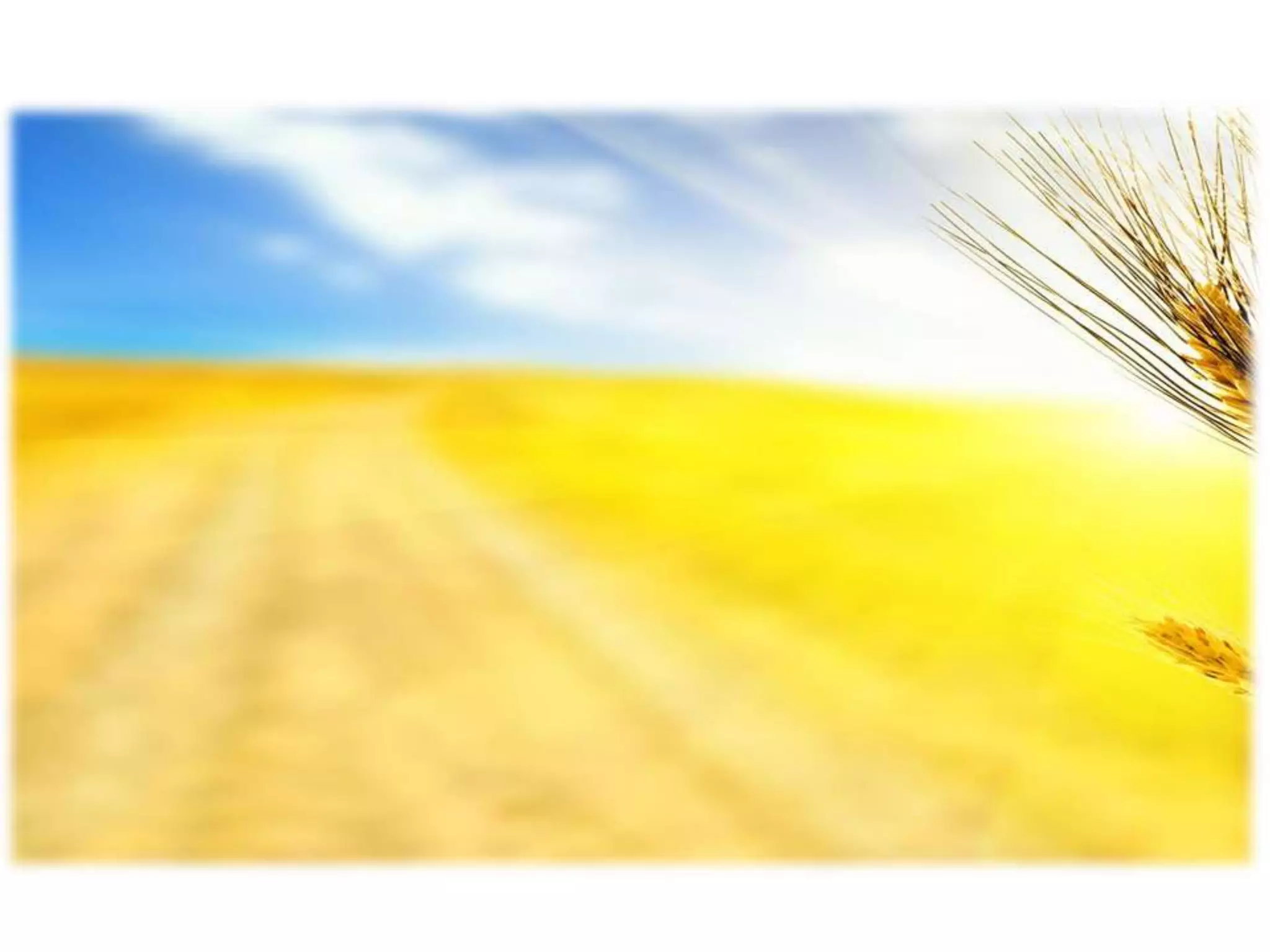 день соборності україни зош 19