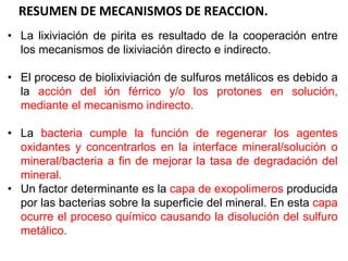 RESUMEN DE MECANISMOS DE REACCION.
• La lixiviación de pirita es resultado de la cooperación entre
los mecanismos de lixiviación directo e indirecto.
• El proceso de biolixiviación de sulfuros metálicos es debido a
la acción del ión férrico y/o los protones en solución,
mediante el mecanismo indirecto.
• La bacteria cumple la función de regenerar los agentes
oxidantes y concentrarlos en la interface mineral/solución o
mineral/bacteria a fin de mejorar la tasa de degradación del
mineral.
• Un factor determinante es la capa de exopolimeros producida
por las bacterias sobre la superficie del mineral. En esta capa
ocurre el proceso químico causando la disolución del sulfuro
metálico.
 