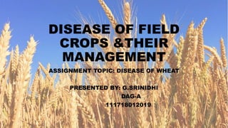 DISEASE OF FIELD
CROPS &THEIR
MANAGEMENT
ASSIGNMENT TOPIC: DISEASE OF WHEAT
PRESENTED BY: G.SRINIDHI
DAG-A
111718012019
 