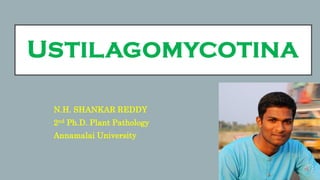 USTILAGOMYCOTINA
N.H. SHANKAR REDDY
2nd Ph.D. Plant Pathology
Annamalai University
 