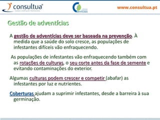 Gestão de adventícias
A gestão de adventícias deve ser baseada na prevenção. À
medida que a saúde do solo cresce, as populações de
infestantes difíceis vão enfraquecendo.
As populações de infestantes vão enfraquecendo também com
as rotações de culturas, o seu corte antes da fase de semente e
evitando contaminações do exterior.
Algumas culturas podem crescer e competir (abafar) as
infestantes por luz e nutrientes.
Coberturas ajudam a suprimir infestantes, desde a barreira à sua
germinação.
 