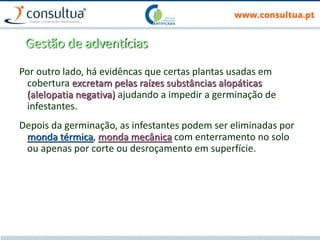 Gestão de adventícias
Por outro lado, há evidêncas que certas plantas usadas em
cobertura excretam pelas raízes substâncias alopáticas
(alelopatia negativa) ajudando a impedir a germinação de
infestantes.
Depois da germinação, as infestantes podem ser eliminadas por
monda térmica, monda mecânica com enterramento no solo
ou apenas por corte ou desroçamento em superfície.
 