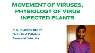 Movement of viruses,
physiology of virus
infected plants
N. H. SHANKAR REDDY
Ph.D., Plant Pathology
Annamalai University
 