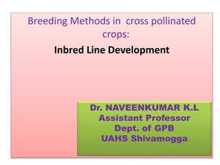 Breeding Methods in cross pollinated
crops:
Inbred Line Development
Dr. NAVEENKUMAR K.L
Assistant Professor
Dept. of GPB
UAHS Shivamogga
 