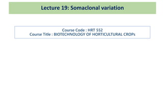 Lecture 19: Somaclonal variation
Course Code : HRT 552
Course Title : BIOTECHNOLOGY OF HORTICULTURAL CROPs
 
