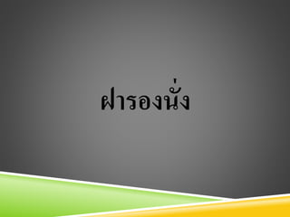 ฝารองนั่ง
 