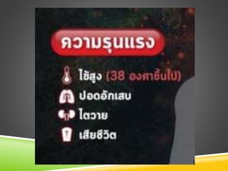 โควิค19.ٳ