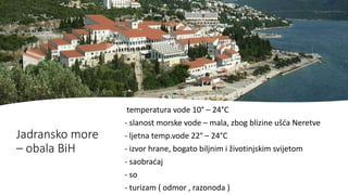 Jadransko more
– obala BiH
temperatura vode 10° – 24°C
- slanost morske vode – mala, zbog blizine ušća Neretve
- ljetna temp.vode 22° – 24°C
- izvor hrane, bogato biljnim i životinjskim svijetom
- saobraćaj
- so
- turizam ( odmor , razonoda )
 