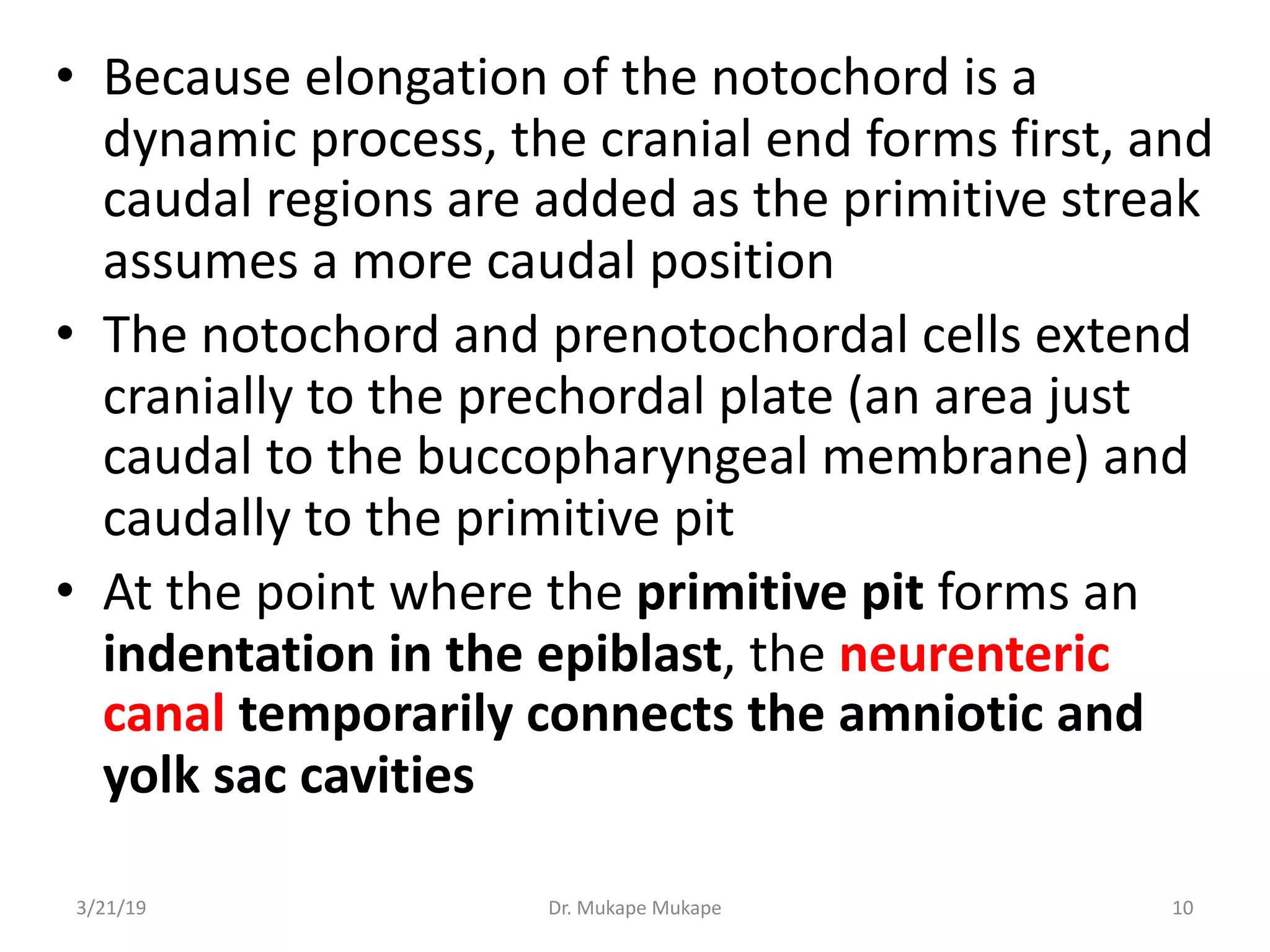 • Because elongation of the notochord is a
dynamic process, the cranial end forms first, and
caudal regions are added as the primitive streak
assumes a more caudal position
• The notochord and prenotochordal cells extend
cranially to the prechordal plate (an area just
caudal to the buccopharyngeal membrane) and
caudally to the primitive pit
• At the point where the primitive pit forms an
indentation in the epiblast, the neurenteric
canal temporarily connects the amniotic and
yolk sac cavities
3/21/19 Dr. Mukape Mukape 10
 