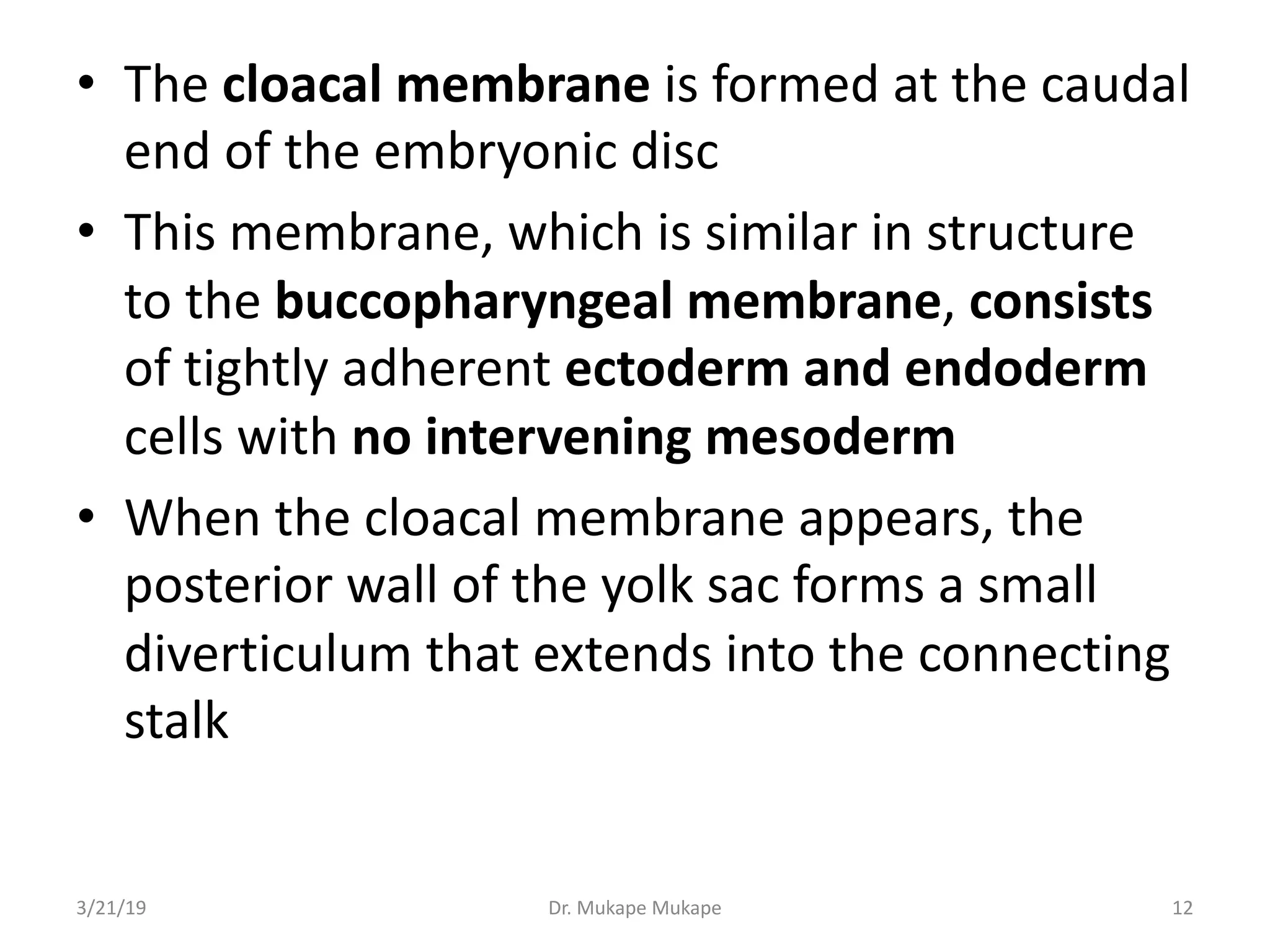 • The cloacal membrane is formed at the caudal
end of the embryonic disc
• This membrane, which is similar in structure
to the buccopharyngeal membrane, consists
of tightly adherent ectoderm and endoderm
cells with no intervening mesoderm
• When the cloacal membrane appears, the
posterior wall of the yolk sac forms a small
diverticulum that extends into the connecting
stalk
3/21/19 Dr. Mukape Mukape 12
 