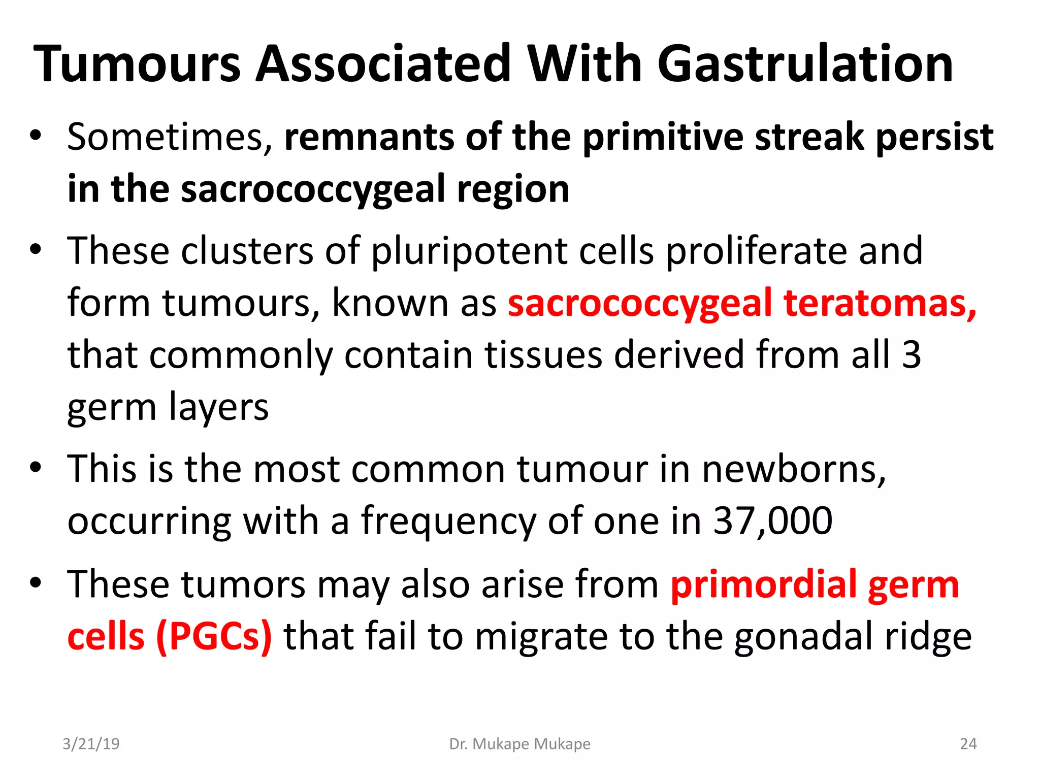 Tumours Associated With Gastrulation
• Sometimes, remnants of the primitive streak persist
in the sacrococcygeal region
• These clusters of pluripotent cells proliferate and
form tumours, known as sacrococcygeal teratomas,
that commonly contain tissues derived from all 3
germ layers
• This is the most common tumour in newborns,
occurring with a frequency of one in 37,000
• These tumors may also arise from primordial germ
cells (PGCs) that fail to migrate to the gonadal ridge
3/21/19 Dr. Mukape Mukape 24
 