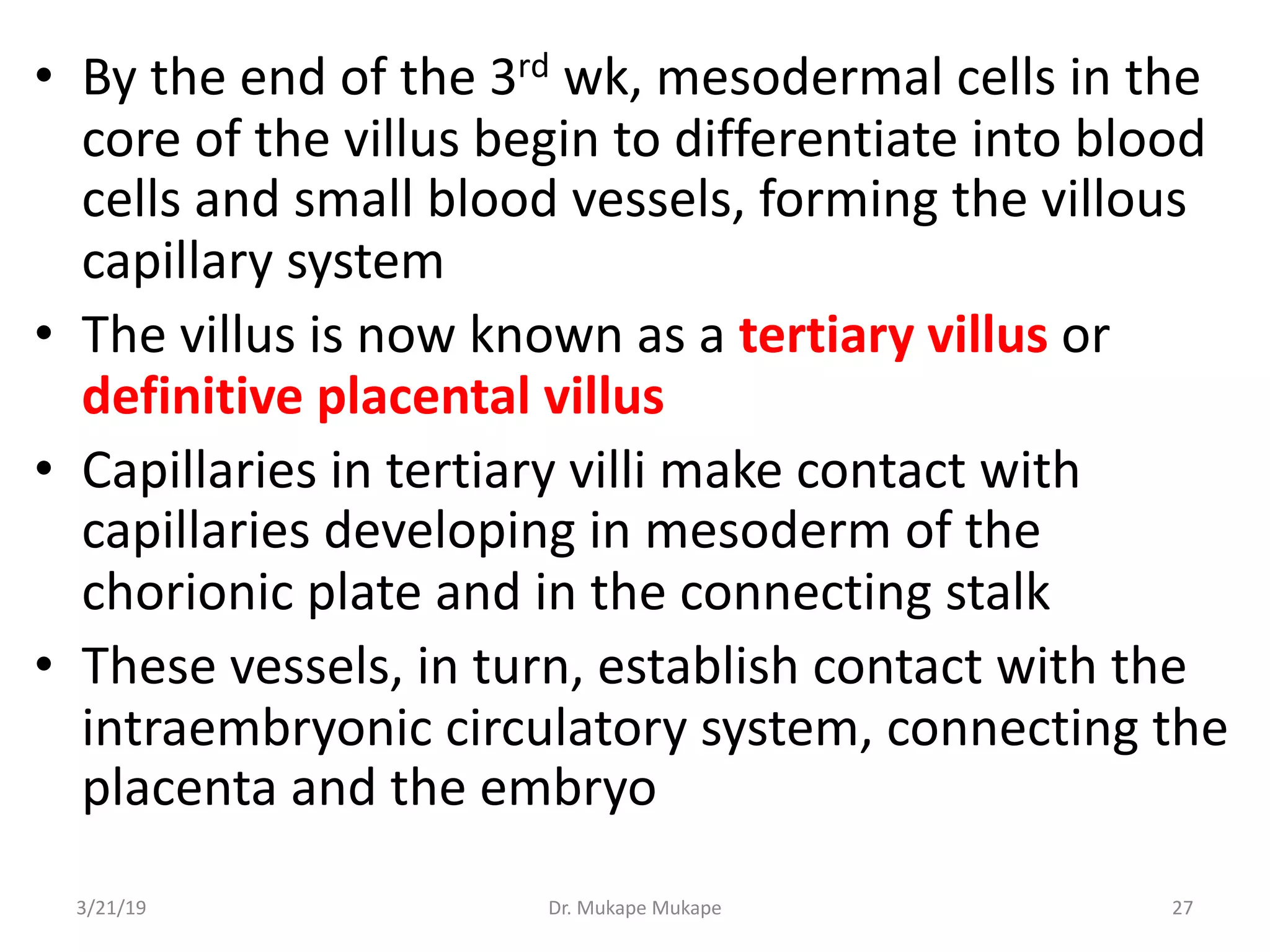 • By the end of the 3rd wk, mesodermal cells in the
core of the villus begin to differentiate into blood
cells and small blood vessels, forming the villous
capillary system
• The villus is now known as a tertiary villus or
definitive placental villus
• Capillaries in tertiary villi make contact with
capillaries developing in mesoderm of the
chorionic plate and in the connecting stalk
• These vessels, in turn, establish contact with the
intraembryonic circulatory system, connecting the
placenta and the embryo
3/21/19 Dr. Mukape Mukape 27
 