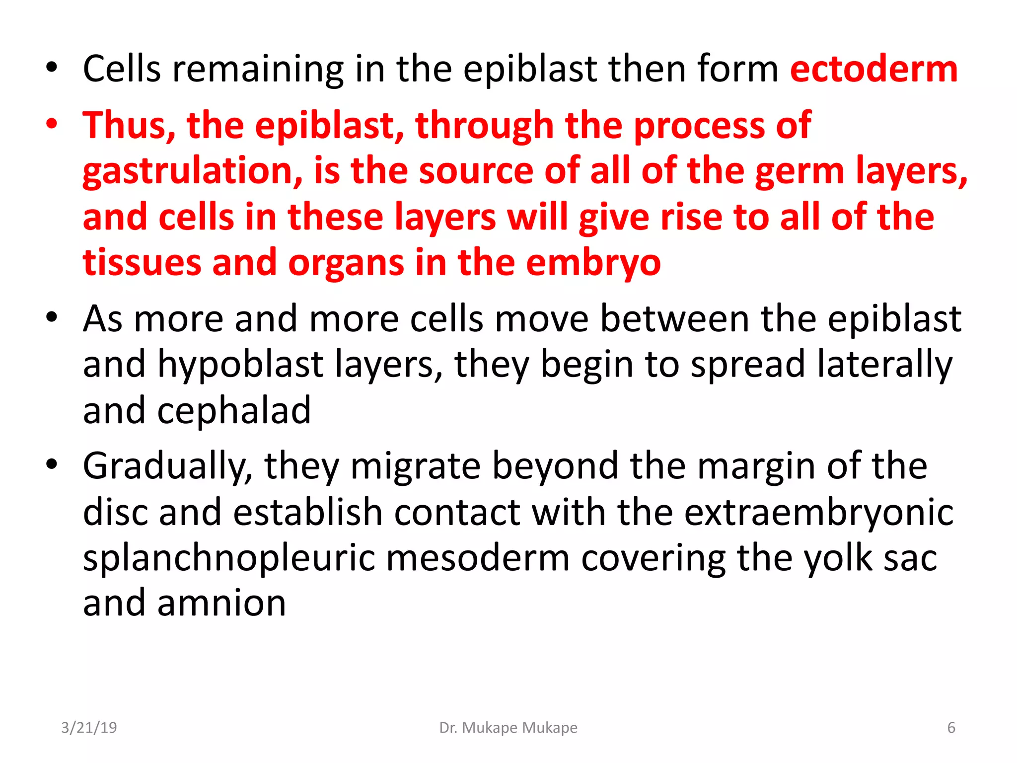 • Cells remaining in the epiblast then form ectoderm
• Thus, the epiblast, through the process of
gastrulation, is the source of all of the germ layers,
and cells in these layers will give rise to all of the
tissues and organs in the embryo
• As more and more cells move between the epiblast
and hypoblast layers, they begin to spread laterally
and cephalad
• Gradually, they migrate beyond the margin of the
disc and establish contact with the extraembryonic
splanchnopleuric mesoderm covering the yolk sac
and amnion
3/21/19 Dr. Mukape Mukape 6
 