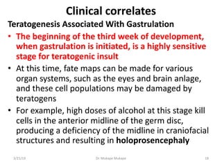Clinical correlates
Teratogenesis Associated With Gastrulation
• The beginning of the third week of development,
when gast...