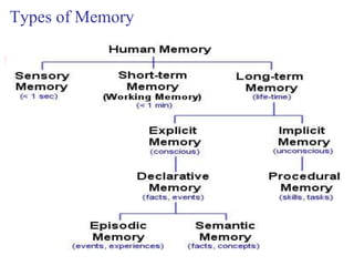 19. MEMORY .pptx