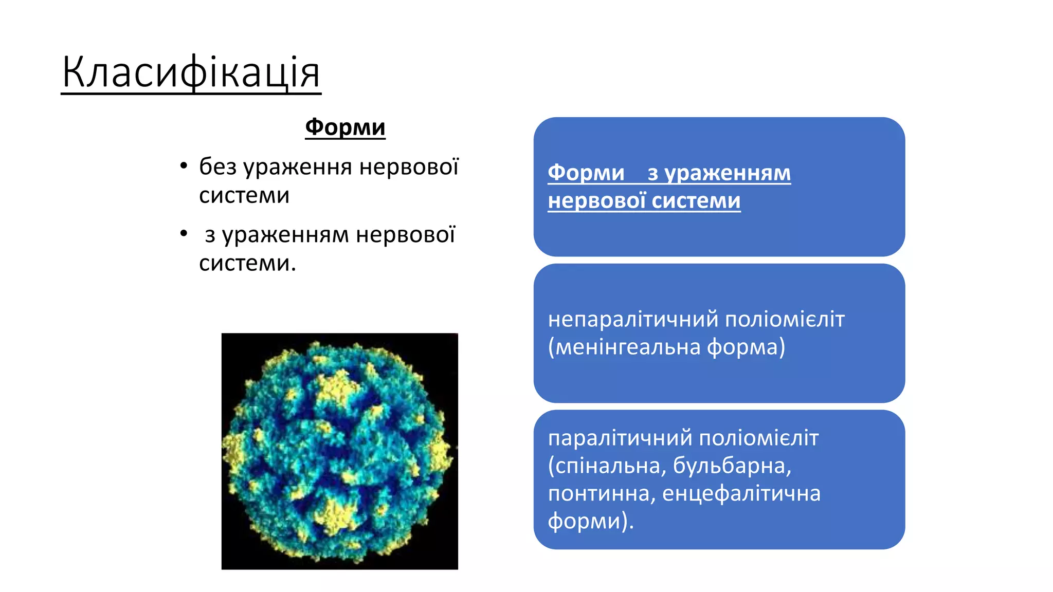 Класифікація
Форми
• без ураження нервової
системи
• з ураженням нервової
системи.
Форми з ураженням
нервової системи
непаралітичний поліомієліт
(менінгеальна форма)
паралітичний поліомієліт
(спінальна, бульбарна,
понтинна, енцефалітична
форми).
 