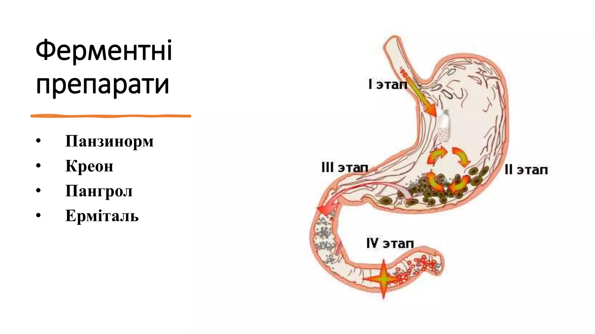 Ферментні
препарати
• Панзинорм
• Креон
• Пангрол
• Ерміталь
 
