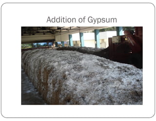 Addition of Gypsum
 