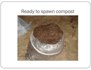 Ready to spawn compost
 
