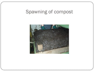 Spawning of compost
 