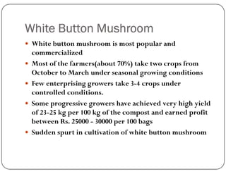 White Button Mushroom
 White button mushroom is most popular and
commercialized
 Most of the farmers(about 70%) take two crops from
October to March under seasonal growing conditions
 Few enterprising growers take 3-4 crops under
Few enterprising growers take 3-4 crops under
controlled conditions.
 Some progressive growers have achieved very high yield
of 23-25 kg per 100 kg of the compost and earned profit
between Rs. 25000 - 30000 per 100 bags
 Sudden spurt in cultivation of white button mushroom
 