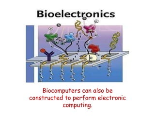 Biocomputers can also be
constructed to perform electronic
computing.
 