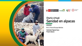 Charla virtual:
Sanidad en alpacas
EXPOSITOR:
M.V.Z. Ronal Quispe Bellido
Coordinador Regional Cusco
Proyecto Alpacas
 