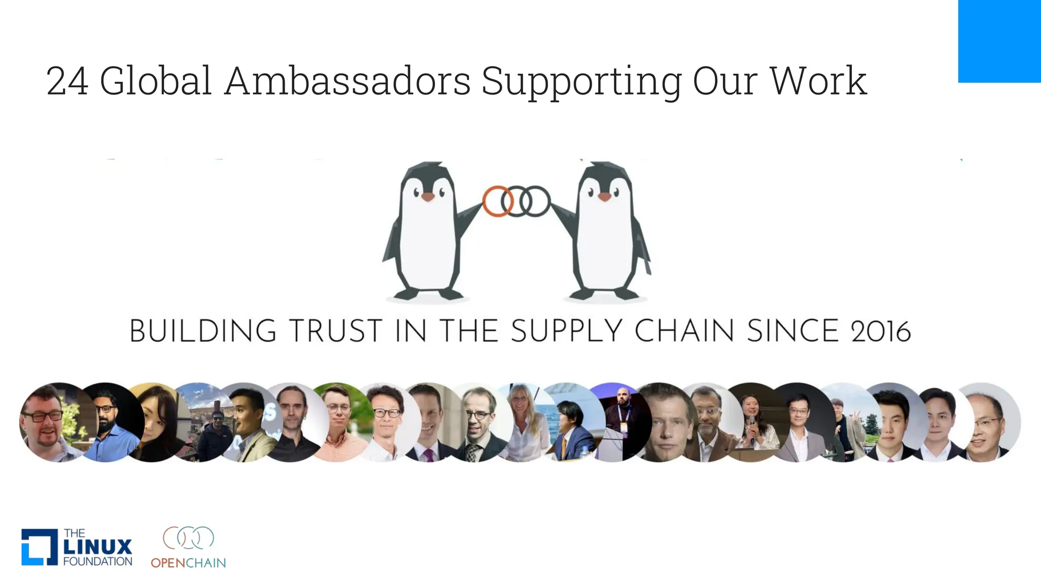24 Global Ambassadors Supporting Our Work
 